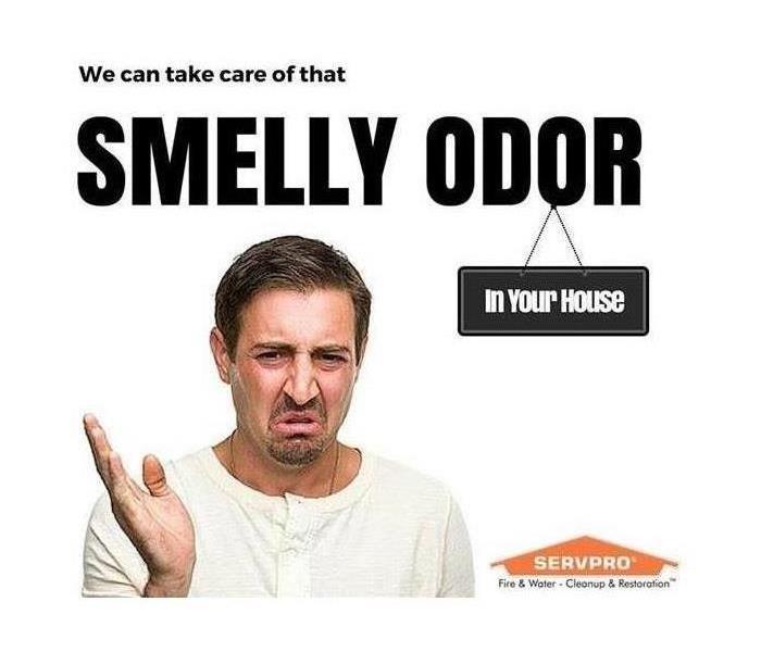 Smell Odor 